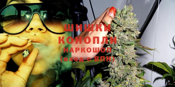 сатива Киреевск