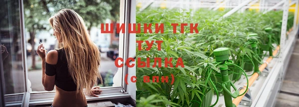 молекула духа Карпинск
