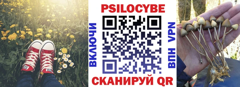 Галлюциногенные грибы MAGIC MUSHROOMS  darknet телеграм  Юрга  купить наркотики цена 